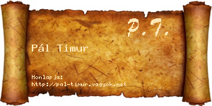 Pál Timur névjegykártya